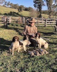  John with Milly, Ruby and Diamond with their rabbit retrieves 